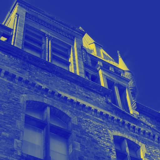 Olmsted&rsquo;s Elmwood